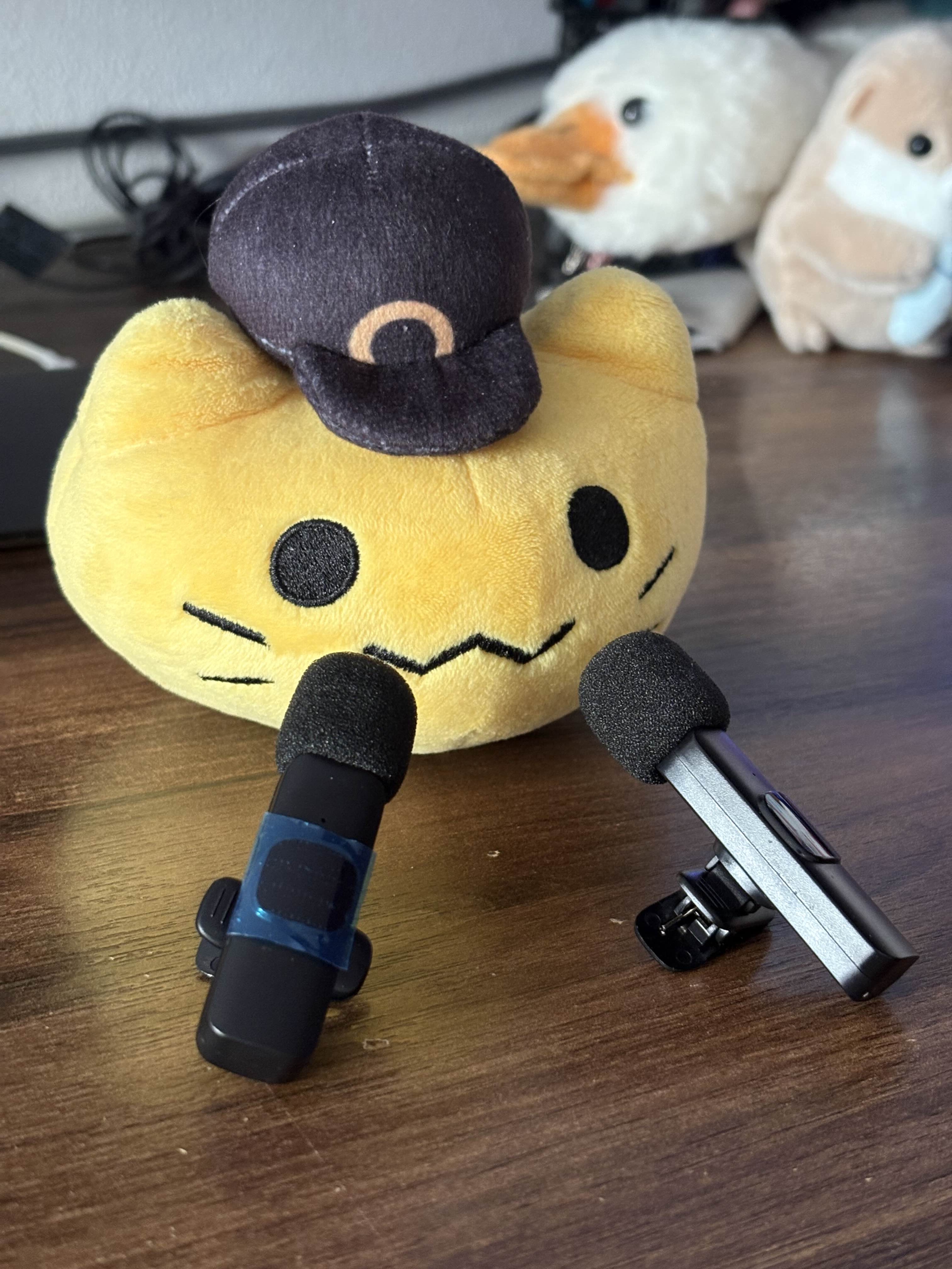 minota's making an announcement